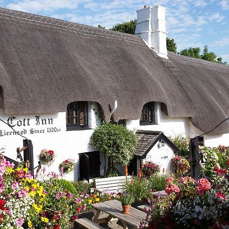 The Cott Inn Totnes Exteriör bild