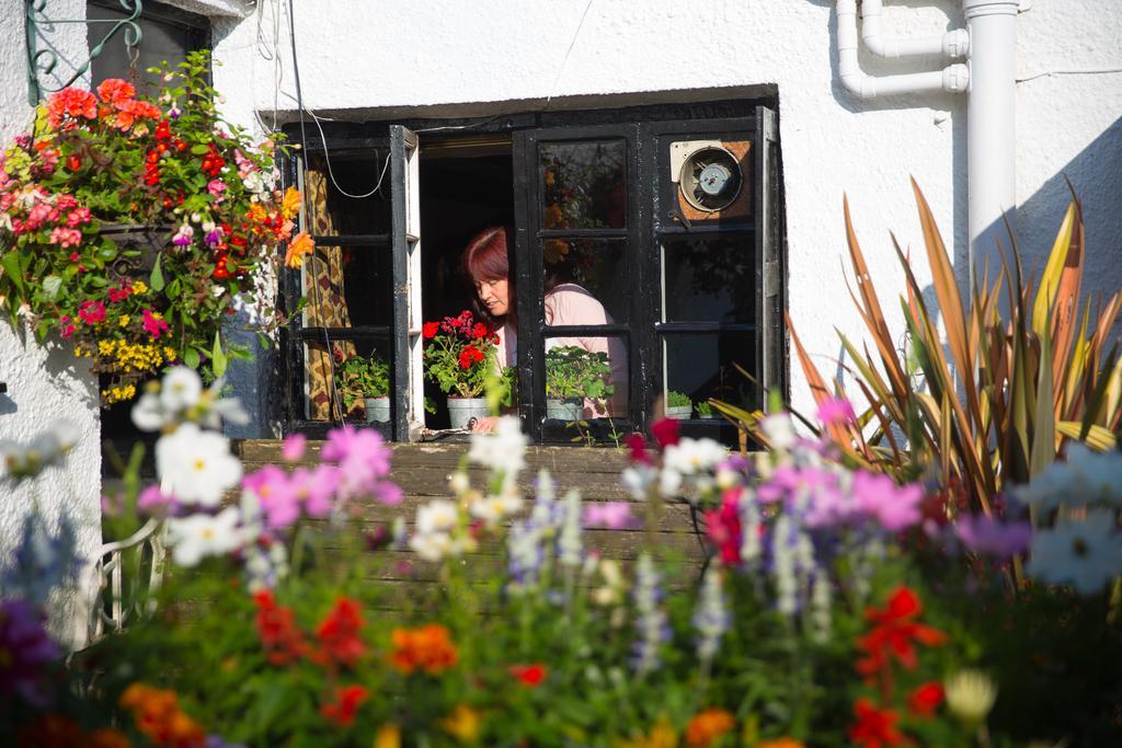 The Cott Inn Totnes Exteriör bild